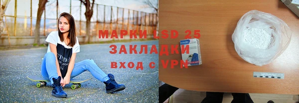 ГАЛЛЮЦИНОГЕННЫЕ ГРИБЫ Арсеньев