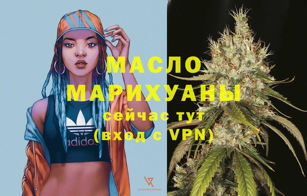 сатива Аркадак