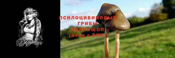 ГАЛЛЮЦИНОГЕННЫЕ ГРИБЫ Арсеньев