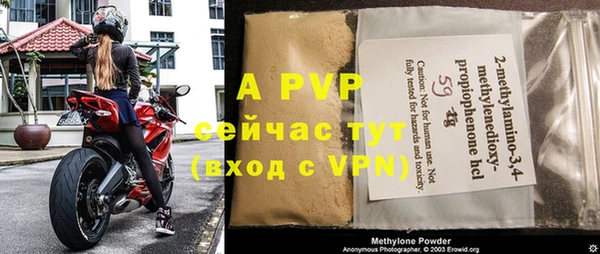 сатива Аркадак
