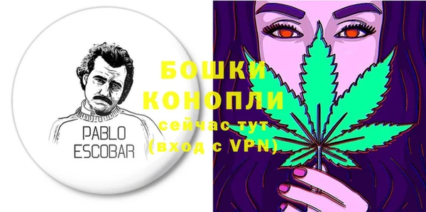 сатива Аркадак
