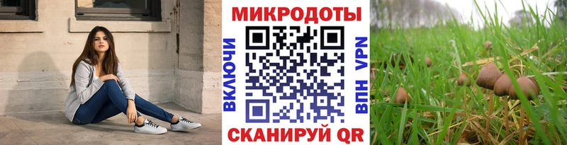 где купить Сосновоборск Псилоцибиновые грибы прущие грибы